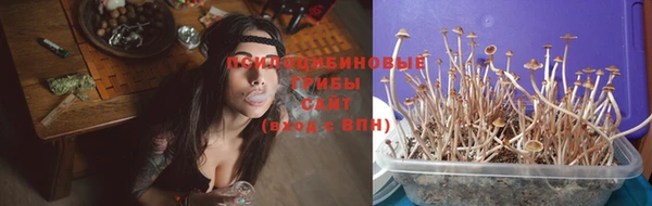 герыч Вязьма