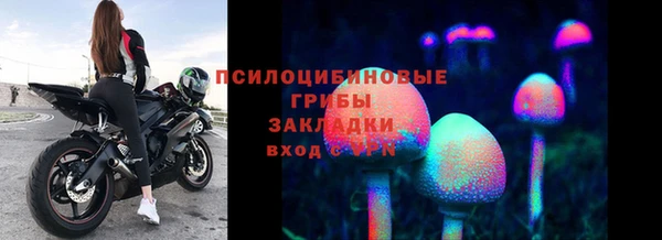 герыч Вязьма
