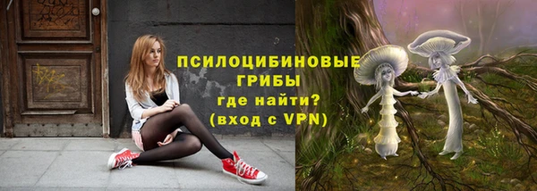 герыч Вязьма