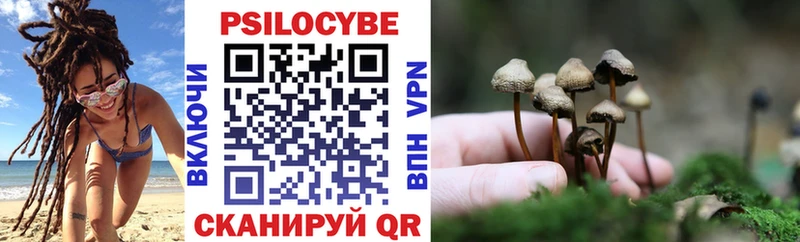 цены наркотик  Белгород  Псилоцибиновые грибы прущие грибы 